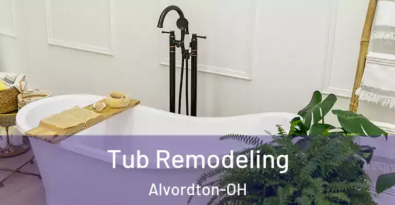 inner Bathroom imggen Tub Remodeling Alvordton-OH