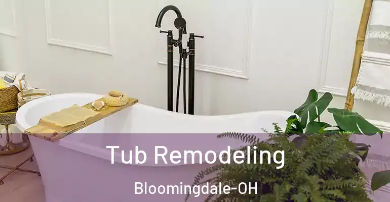 inner Bathroom imggen Tub Remodeling Bloomingdale-OH