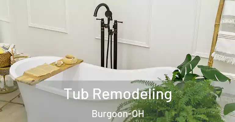 inner Bathroom imggen Tub Remodeling Burgoon-OH