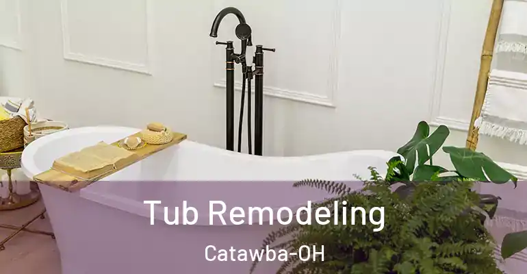inner Bathroom imggen Tub Remodeling Catawba-OH