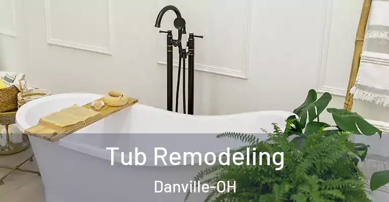 inner Bathroom imggen Tub Remodeling Danville-OH