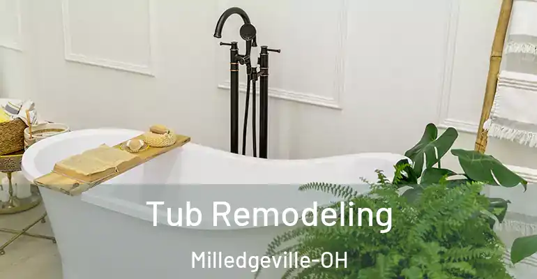 inner Bathroom imggen Tub Remodeling Milledgeville-OH