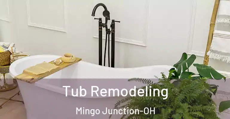 inner Bathroom imggen Tub Remodeling Mingo Junction-OH