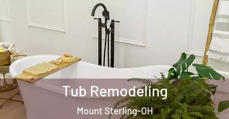 inner Bathroom imggen Tub Remodeling Mount Sterling-OH
