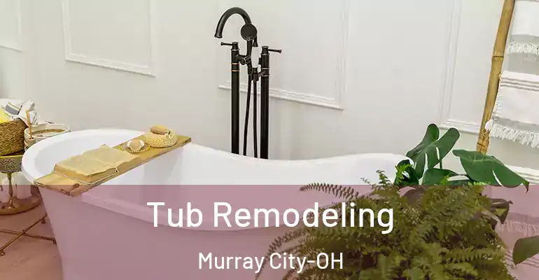 inner Bathroom imggen Tub Remodeling Murray City-OH