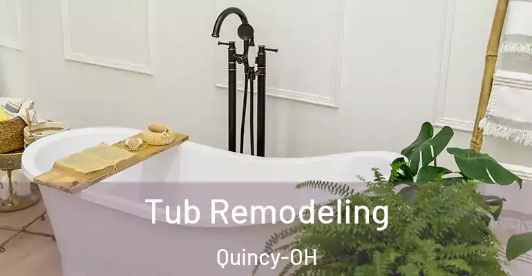 inner Bathroom imggen Tub Remodeling Quincy-OH