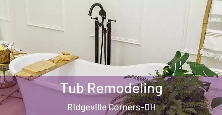 inner Bathroom imggen Tub Remodeling Ridgeville Corners-OH