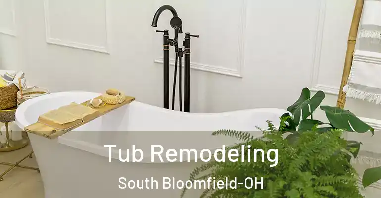 inner Bathroom imggen Tub Remodeling South Bloomfield-OH