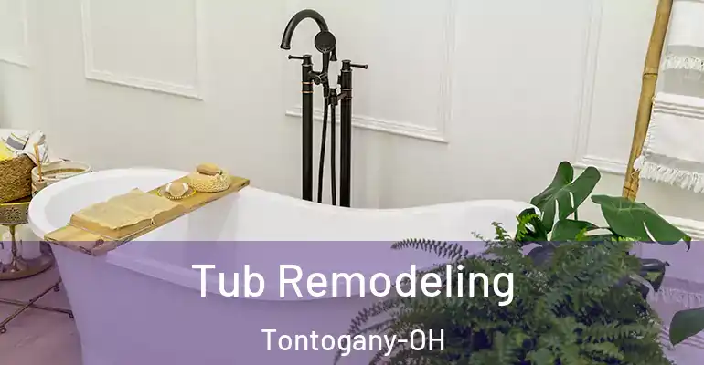 inner Bathroom imggen Tub Remodeling Tontogany-OH