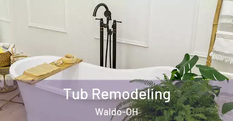 inner Bathroom imggen Tub Remodeling Waldo-OH