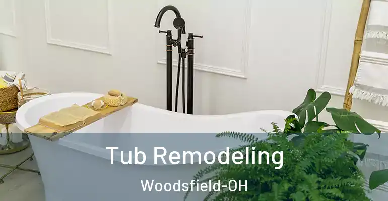 inner Bathroom imggen Tub Remodeling Woodsfield-OH