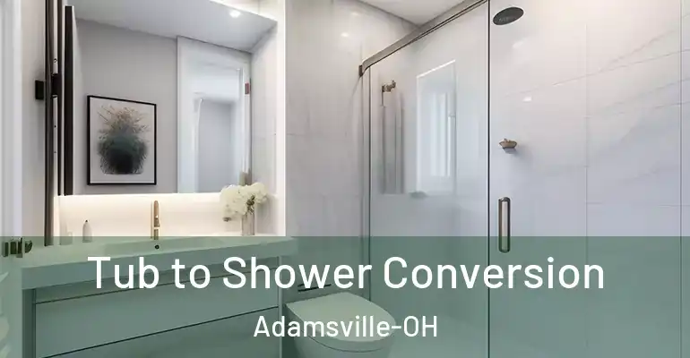 inner Bathroom imggen Tub to Shower Conversion Adamsville-OH
