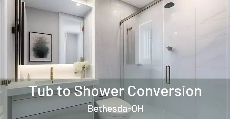 inner Bathroom imggen Tub to Shower Conversion Bethesda-OH
