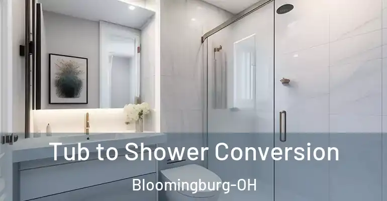 inner Bathroom imggen Tub to Shower Conversion Bloomingburg-OH