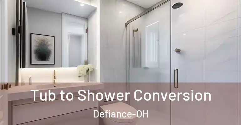 inner Bathroom imggen Tub to Shower Conversion Defiance-OH