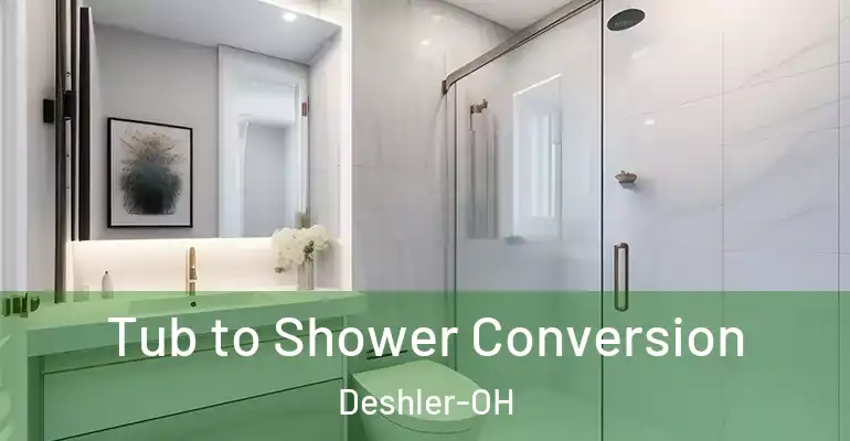 inner Bathroom imggen Tub to Shower Conversion Deshler-OH