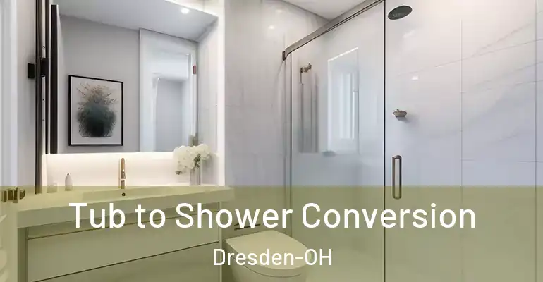 inner Bathroom imggen Tub to Shower Conversion Dresden-OH