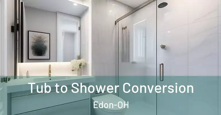 inner Bathroom imggen Tub to Shower Conversion Edon-OH