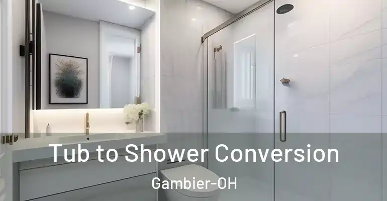 inner Bathroom imggen Tub to Shower Conversion Gambier-OH