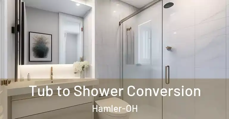 inner Bathroom imggen Tub to Shower Conversion Hamler-OH