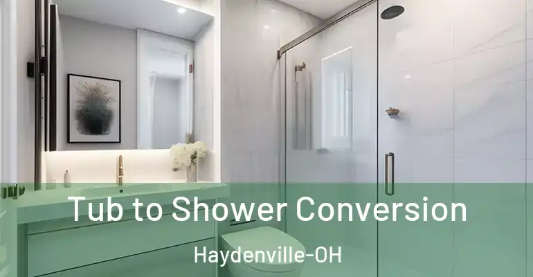 inner Bathroom imggen Tub to Shower Conversion Haydenville-OH