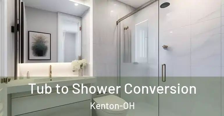 inner Bathroom imggen Tub to Shower Conversion Kenton-OH
