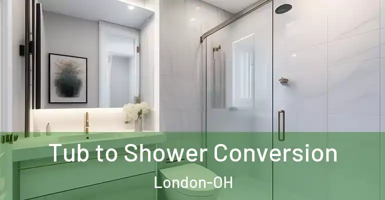 inner Bathroom imggen Tub to Shower Conversion London-OH