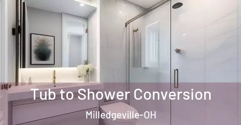inner Bathroom imggen Tub to Shower Conversion Milledgeville-OH