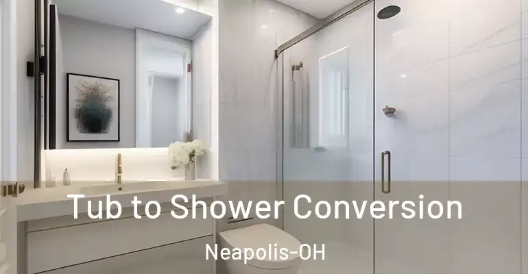 inner Bathroom imggen Tub to Shower Conversion Neapolis-OH