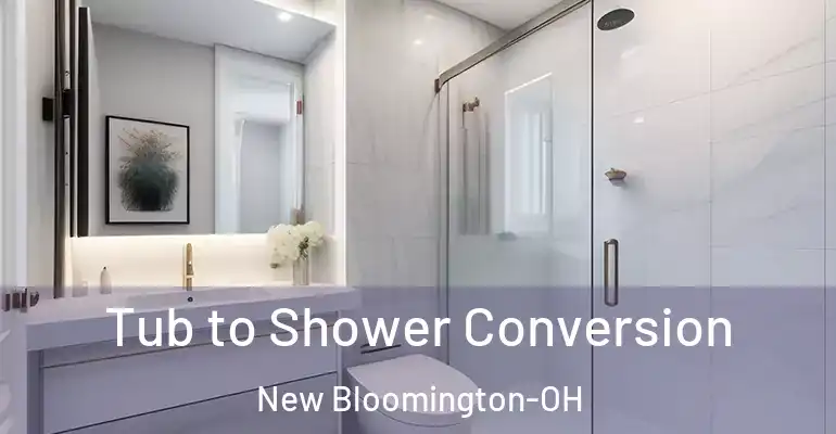 inner Bathroom imggen Tub to Shower Conversion New Bloomington-OH