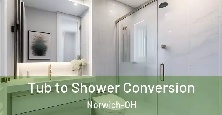 inner Bathroom imggen Tub to Shower Conversion Norwich-OH