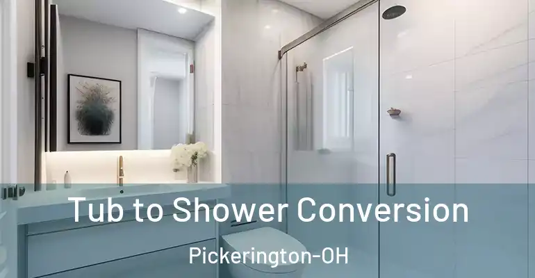 inner Bathroom imggen Tub to Shower Conversion Pickerington-OH