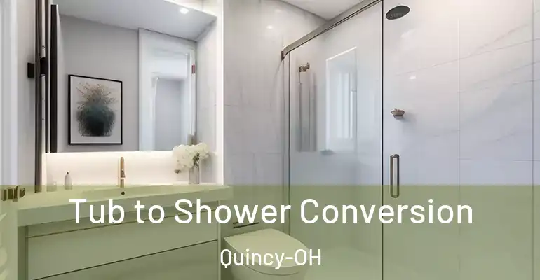 inner Bathroom imggen Tub to Shower Conversion Quincy-OH