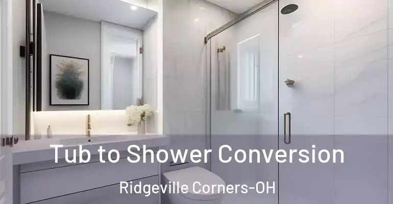 inner Bathroom imggen Tub to Shower Conversion Ridgeville Corners-OH