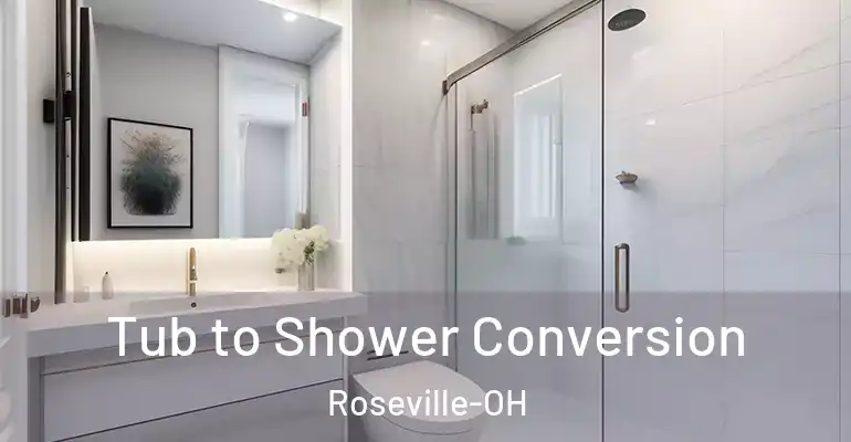 inner Bathroom imggen Tub to Shower Conversion Roseville-OH