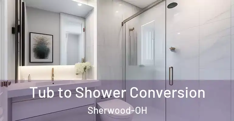 inner Bathroom imggen Tub to Shower Conversion Sherwood-OH