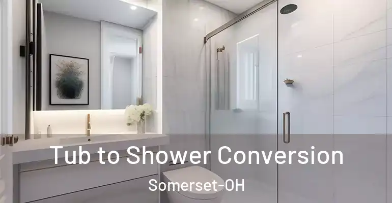 inner Bathroom imggen Tub to Shower Conversion Somerset-OH
