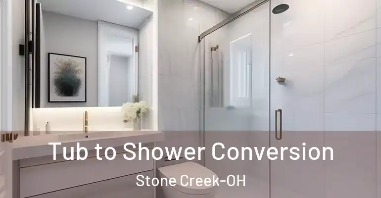 inner Bathroom imggen Tub to Shower Conversion Stone Creek-OH