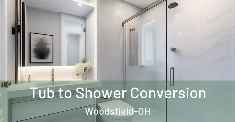 inner Bathroom imggen Tub to Shower Conversion Woodsfield-OH