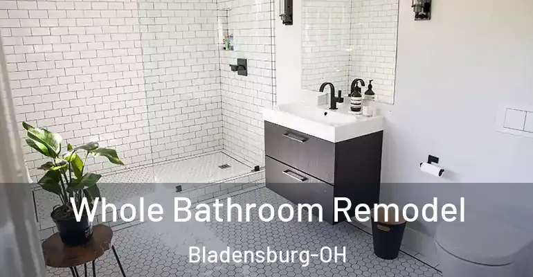inner Bathroom imggen Whole Bathroom Remodel Bladensburg-OH