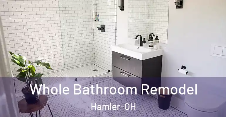 inner Bathroom imggen Whole Bathroom Remodel Hamler-OH