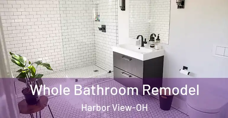 inner Bathroom imggen Whole Bathroom Remodel Harbor View-OH