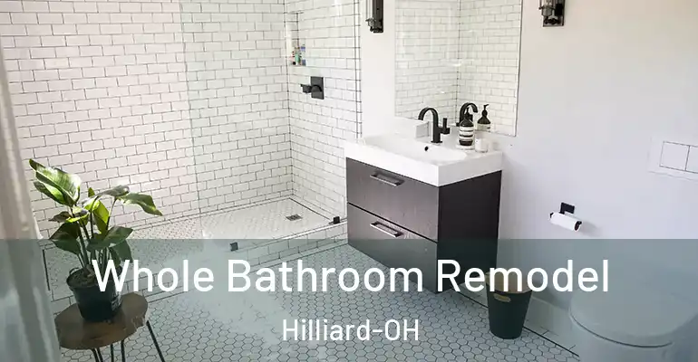 inner Bathroom imggen Whole Bathroom Remodel Hilliard-OH