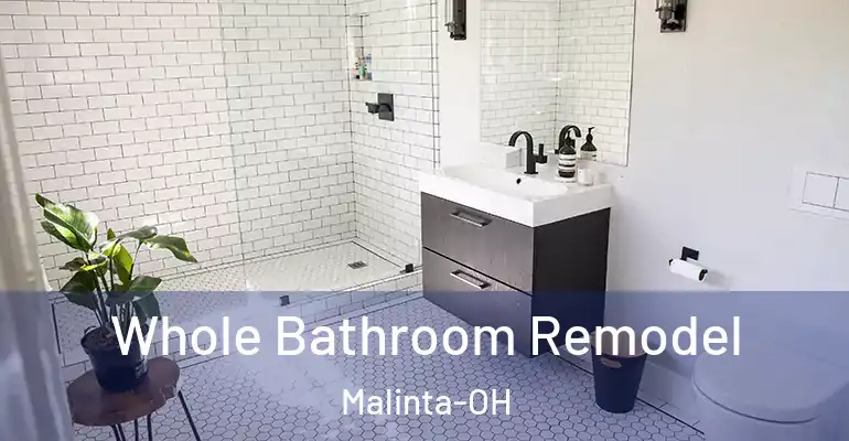inner Bathroom imggen Whole Bathroom Remodel Malinta-OH