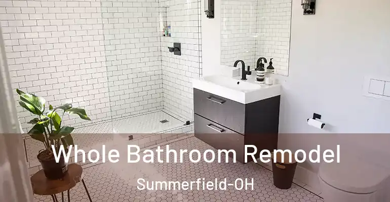 inner Bathroom imggen Whole Bathroom Remodel Summerfield-OH