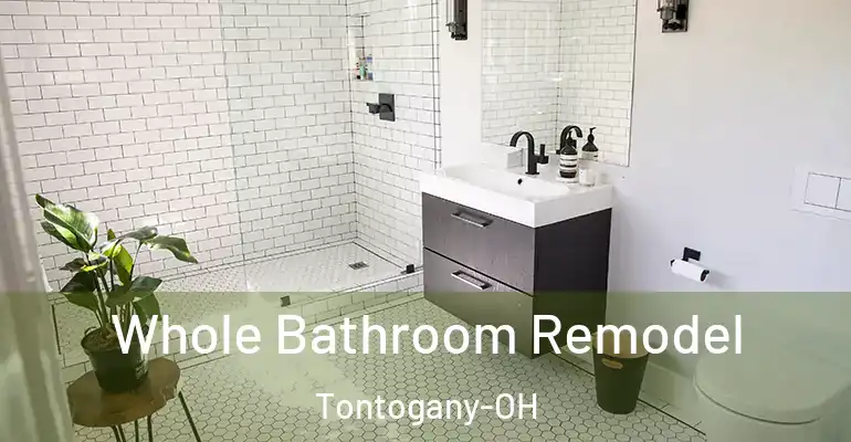 inner Bathroom imggen Whole Bathroom Remodel Tontogany-OH