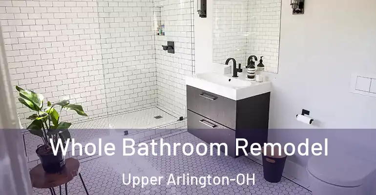 inner Bathroom imggen Whole Bathroom Remodel Upper Arlington-OH