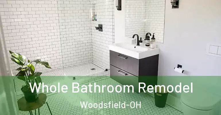 inner Bathroom imggen Whole Bathroom Remodel Woodsfield-OH